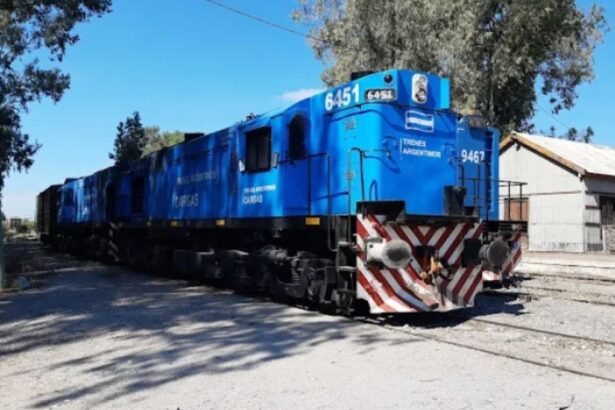 Argentina: Avanzando en el Proyecto de Cobre El Pachón y Transporte Ferroviario desde Sarmiento