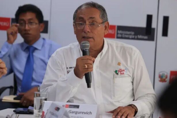 Perú: Minem Elabora Agenda Temprana 2024 para Impulsar Reformas Normativas en el Sector Energético