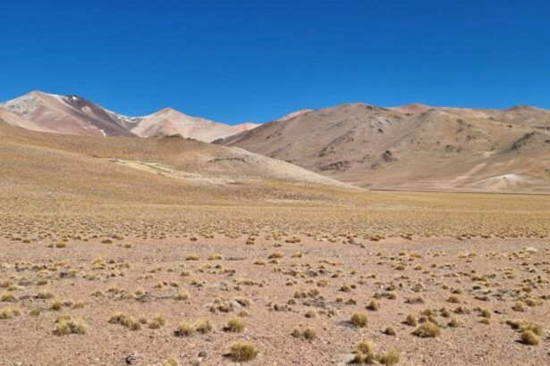 AbraSilver Avanza en el Proyecto La Coipita en Argentina con Teck: Colaboración Estratégica para un Descubrimiento de Cobre Significativo