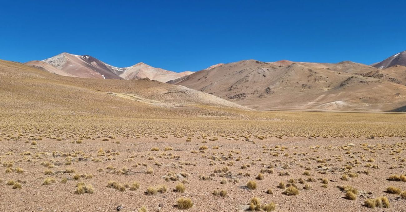 AbraSilver Avanza en el Proyecto La Coipita en Argentina con Teck: Colaboración Estratégica para un Descubrimiento de Cobre Significativo