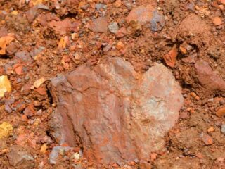 Estudio de la CCI señala problemas con la fijación de precios y exportación de mineral de hierro en la India