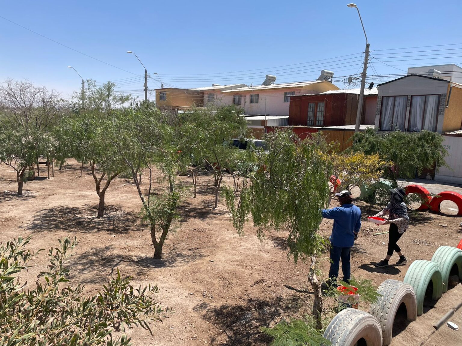 Voluntarios de Chuquicamata mejoran el parque de la Villa Nueva Oasis Norte de Calama