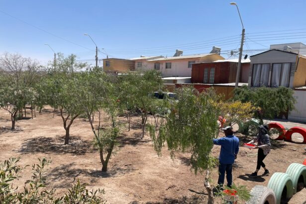 Voluntarios de Chuquicamata mejoran el parque de la Villa Nueva Oasis Norte de Calama