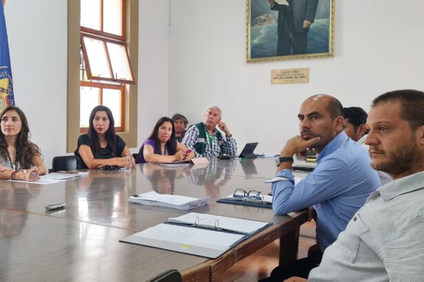 Aprobado el Parque Fotovoltaico Celda Solar en la comuna de Camarones