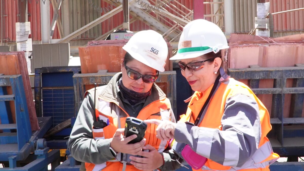 División Gabriela Mistral implementa dispositivo tecnológico que permitirá mejorar la calidad de sus cátodos de cobre y mantener su prestigio internacional