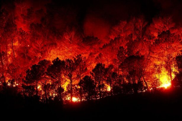 Sonami anuncia medidas solidarias tras incendios en Valparaíso