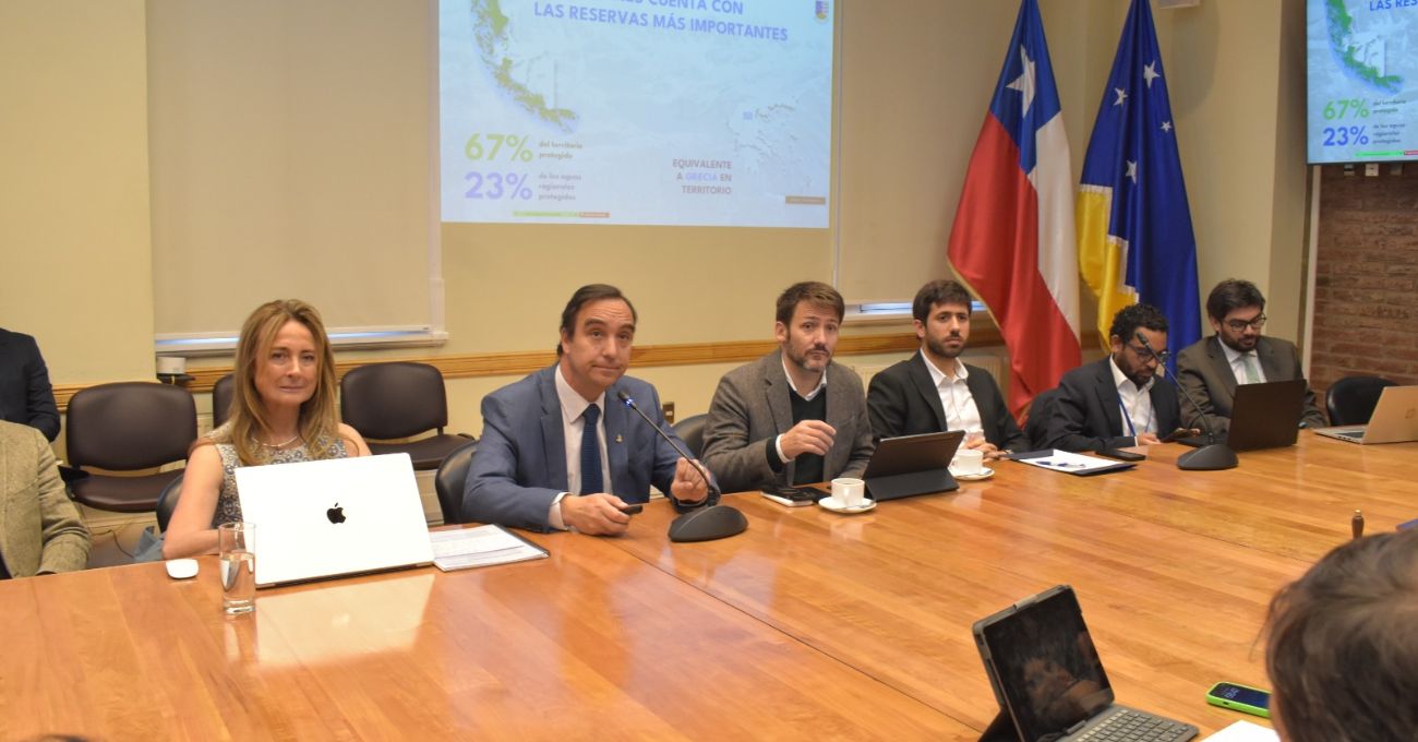 Ministro Pardow participó en sesión especial de la comisión de Minería y Energía de la Cámara de Magallanes para abordar desarrollo del Hidrógeno Verde