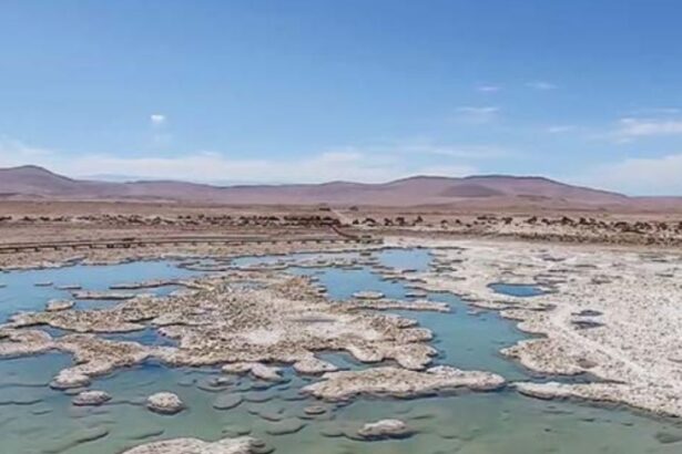 Lithium Chile cede cuatro propiedades a Eramet en Chile para que ésta busque litio allí