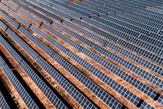 Fotovoltaica Gran Teno: inauguran mayor planta solar de Sudamérica ubicada en la Región del Maule