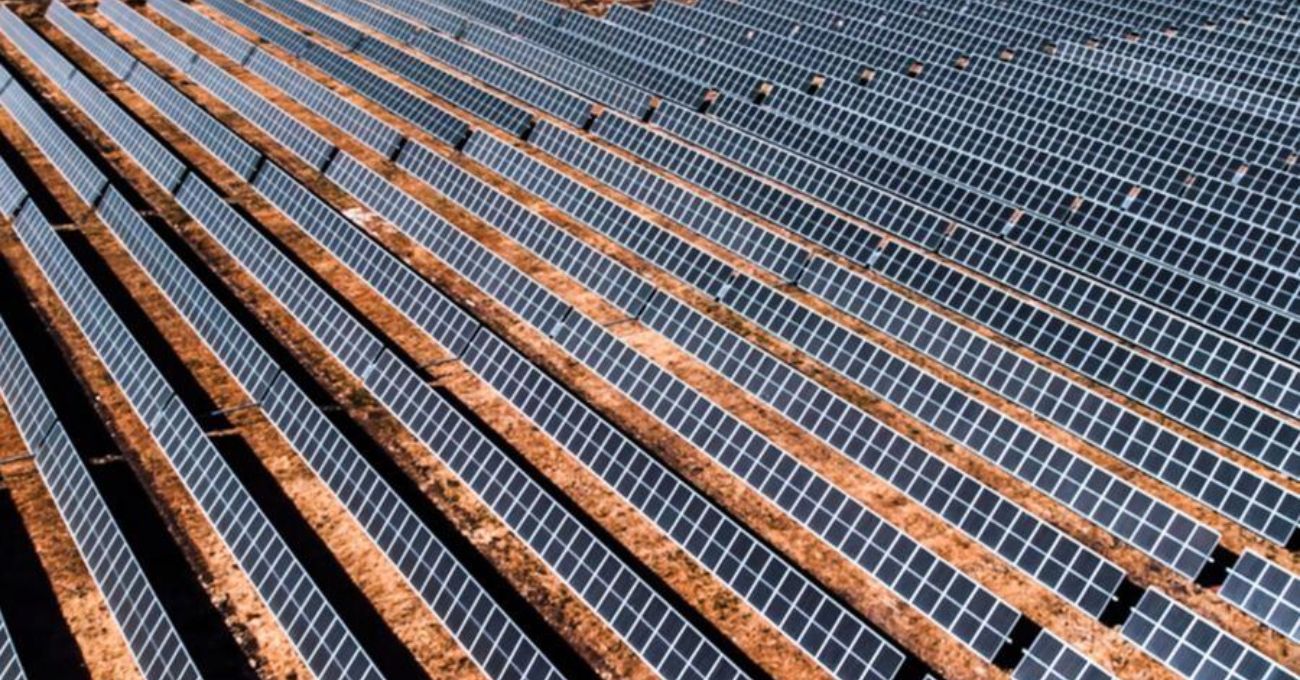 Fotovoltaica Gran Teno: inauguran mayor planta solar de Sudamérica ubicada en la Región del Maule