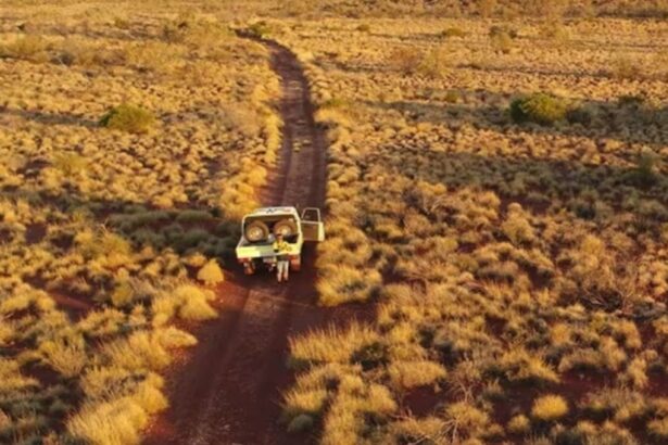 BHP reduce en un 25% la fuerza laboral del proyecto de níquel