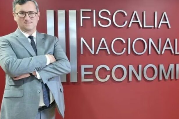 Fiscal Nacional Económico se inhabilita en arremetida de SQM contra Tianqi: hizo un informe en derecho en 2018