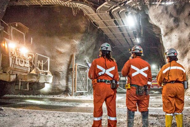 Nuevas Oportunidades Laborales en Codelco para Marzo de 2024