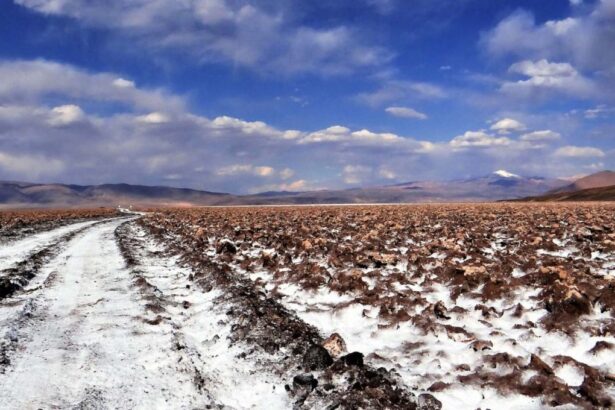 Rio Tinto invertirá $350 millones en proyecto de litio en Argentina