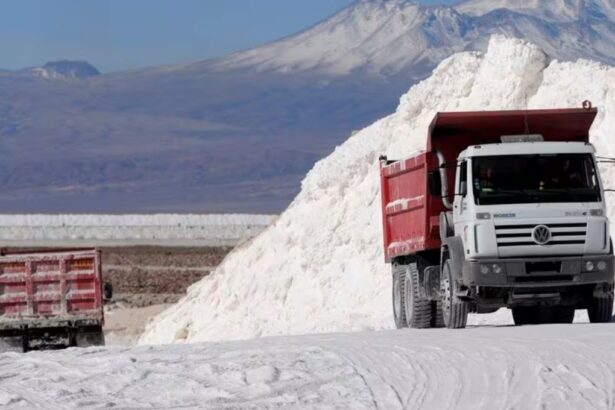 Tironi y Aylwin Matta: Los refuerzos de Codelco y SQM para aquietar las aguas en las comunidades del salar