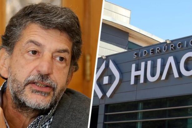 Claudio Agostini afirma que Huachipato es una empresa "ineficiente": "El cierre es la decisión correcta"