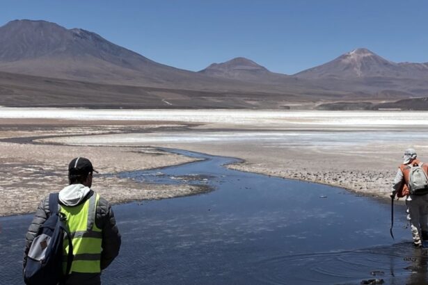 First Lithium Minerals recibe aprobación ambiental y firma acuerdo de cooperación con la comunidad indígena Cebollar-Ascotan