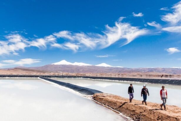 Ganfeng Lithium planea comprar participación en Proyecto Pastos Grandes