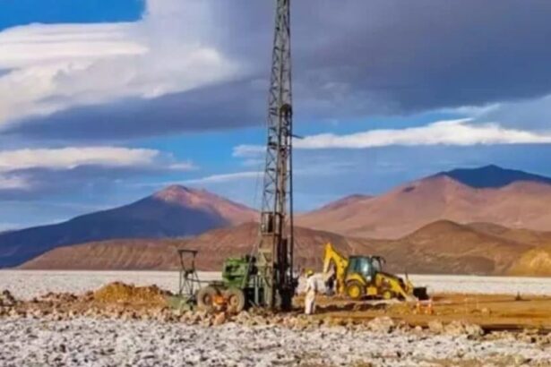 Argentina: Spey Resources y Opción en Proyecto de salmuera de litio Candella II