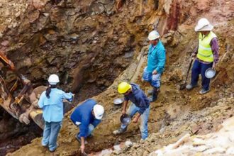Chile lleva 36 proyectos a mayor feria minera de Canadá: 15 son de Enami y ninguno de litio