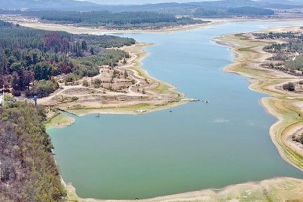 OCDE recomienda a Chile reforma integral de la asignación de agua e introducir instrumentos económicos para la gestión de este recurso