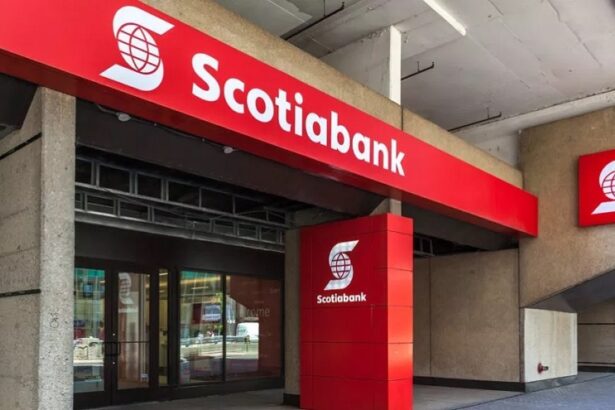 Scotiabank ofrece más de 20 vacantes laborales en distintas regiones del país: Conoce cómo postular
