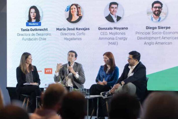 Magallanes: potencial productor de hidrógeno verde y líder mundial en su producción