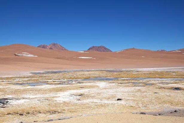 Lithium Chile separa sus activos de litio y oro en el país, en medio de proceso para vender el proyecto Arizaro en Argentina