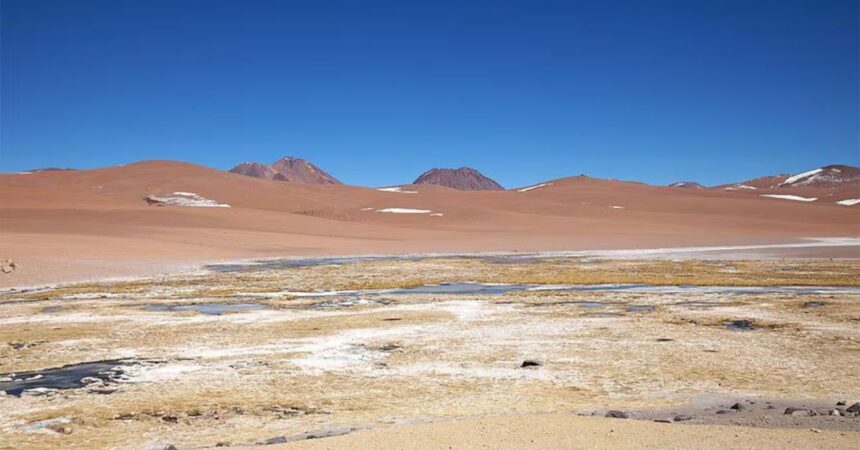 Lithium Chile separa sus activos de litio y oro en el país, en medio de proceso para vender el proyecto Arizaro en Argentina