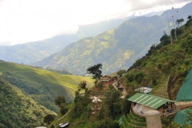 Colombia: "Prohibición de minería en Cajamarca ratificada por tribunal"