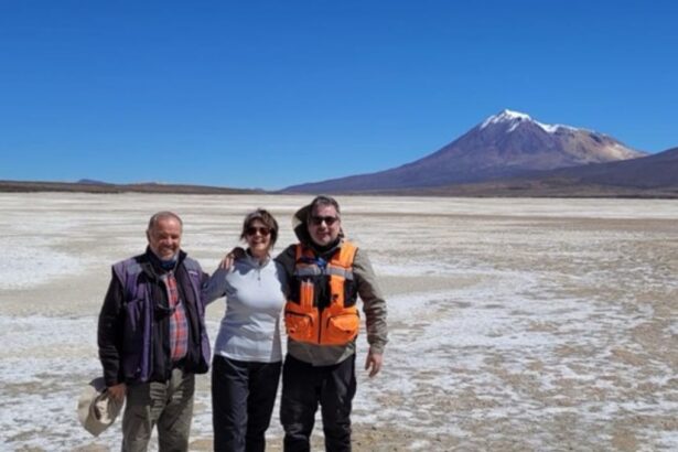 Entregan premio a geólogos de Sernageomin por su contribución científica