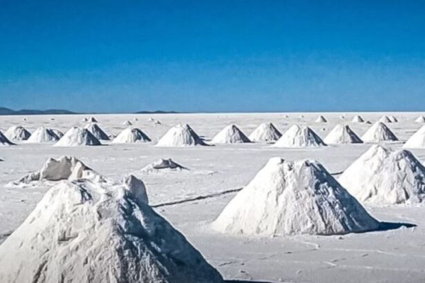 Excelentes resultados en pruebas de planta piloto de extracción de litio.