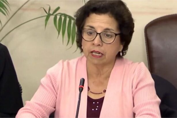 Ministra de Minería dice que Empresa Nacional del Litio "está en evaluación"