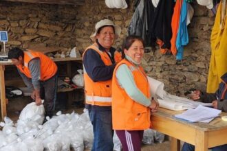 Perú: DLP Resources amplía la zona de cobre y molibdeno en el proyecto Esperanza