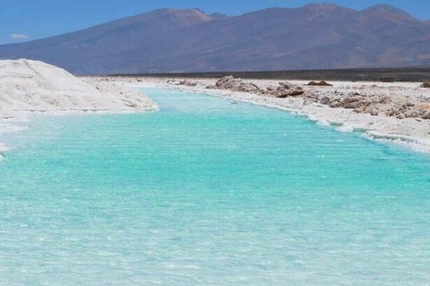 Tianqi Lithium: críticas a SQM y sus planes de alianza con Codelco