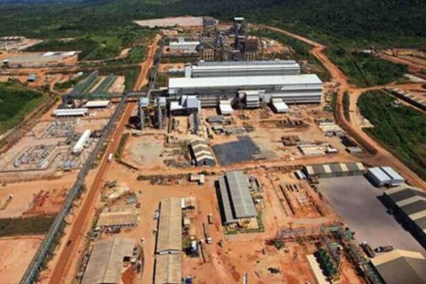 Tribunal brasileño suspende nuevamente la licencia de operación de la mina Onca Puma de Vale