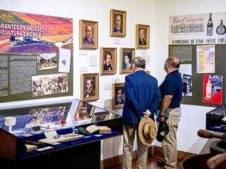 “El Espíritu del Vino” sigue sorprendiendo a los visitantes en Sala de Arte Collahuasi