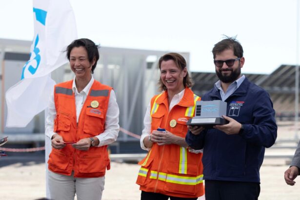 Presidente Boric destaca compromiso de ENGIE con la descarbonización en inauguración de BESS Coya