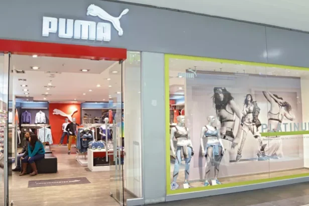 Puma busca trabajadores en diversas regiones del país: Conoce cómo postular