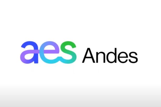 DECLARACIÓN AES Andes