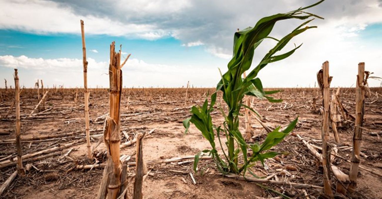 Avances y retos en la lucha contra el cambio climático en empresas