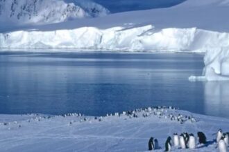 Rusia descubre reservas de petróleo en la Antártica: Argentina exige respuestas