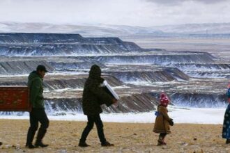 Cambios en leyes mineras de Mongolia generan incertidumbre para inversores extranjeros