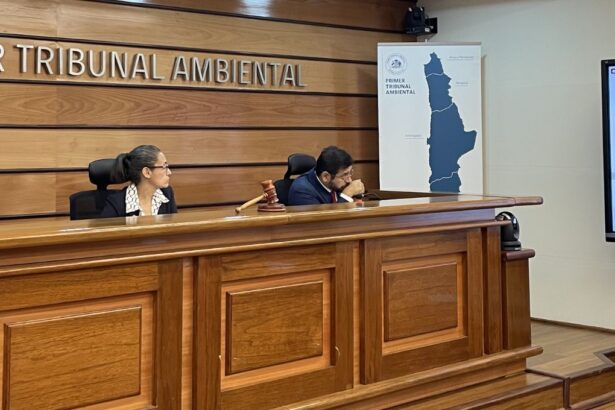 "Reclamación contra proyecto Comahue en Tribunal Ambiental por impacto en La Chimba"