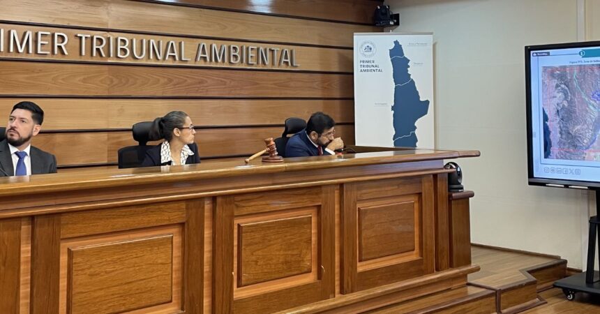 "Reclamación contra proyecto Comahue en Tribunal Ambiental por impacto en La Chimba"