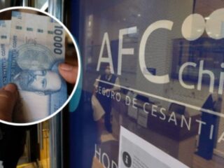 Beneficios para cesantes: Seguro de Cesantía, Fondo Solidario y Subsidio