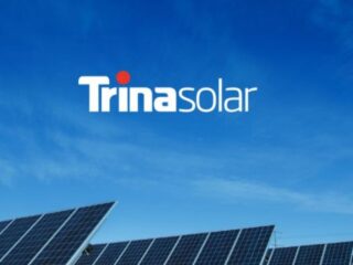 Trina Solar: Un compromiso con la biodiversidad y la protección de humedales