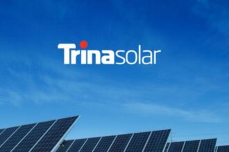 Trina Solar: Un compromiso con la biodiversidad y la protección de humedales