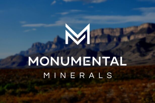Monumental Minerals Chile planea exploración de litio para futuros contratos en Chile