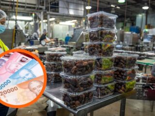 $42 mil mensuales por Bono al Trabajo de la Mujer: Revisa las fechas para postular